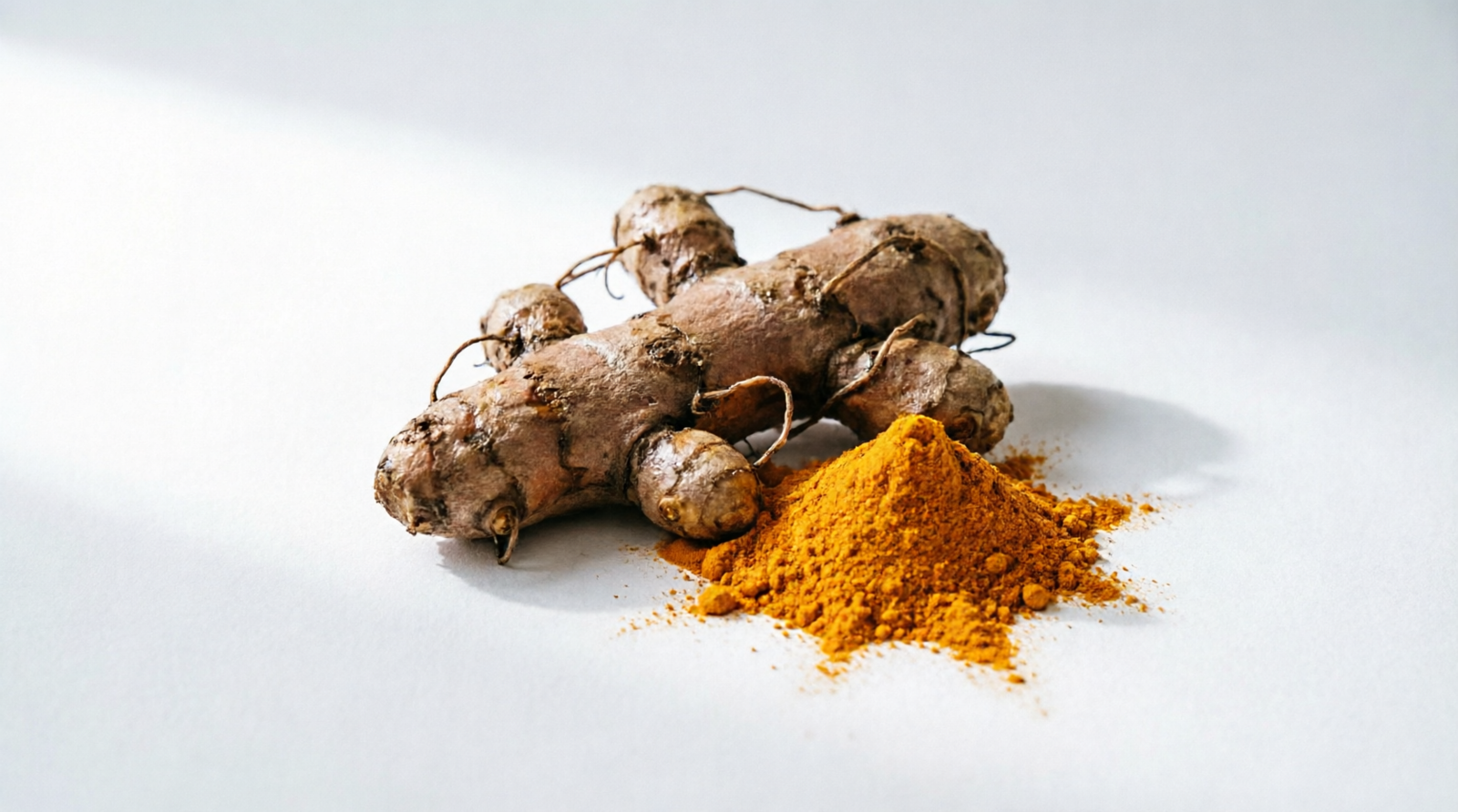 Fresh turmeric root with bright orange turmeric powder